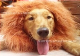 Transfrontalieră câine de companie leu pălărie câine costum Halloween haine câine haine transformate păr auriu câine amuzant