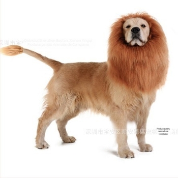 Transfrontalieră câine de companie leu pălărie câine costum Halloween haine câine haine transformate păr auriu câine amuzant