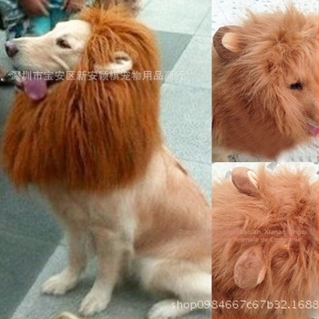 Transfrontalieră câine de companie leu pălărie câine costum Halloween haine câine haine transformate păr auriu câine amuzant