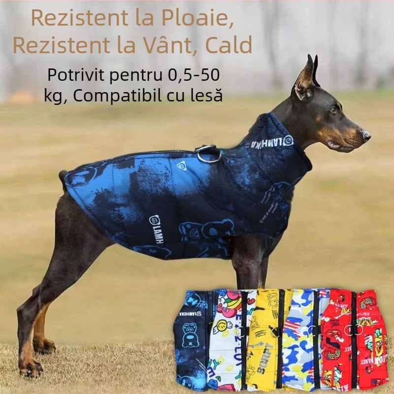Toamna și iarna haine noi pentru câini Teddy Bomei jachetă căptușită din bumbac pentru animale de companie, vestă impermeabilă pentru pisoi