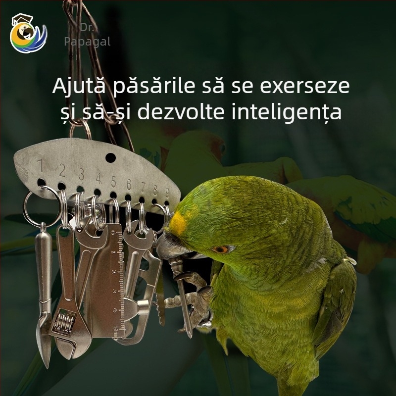 Jucărie de mestecat metalică pentru papagal mediu și mare, King Kong, papagal gri, Amazon, educațional, cușcă pentru păsări, cadru pandantiv pentru a ameliora stresul și plictiseala