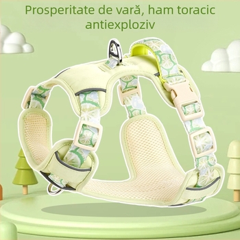 Lesă de vară pentru câini, respirabilă, curea pentru animale de companie, pentru câini mari, medii și mici, Corgi, ursuleț, lanț exterior