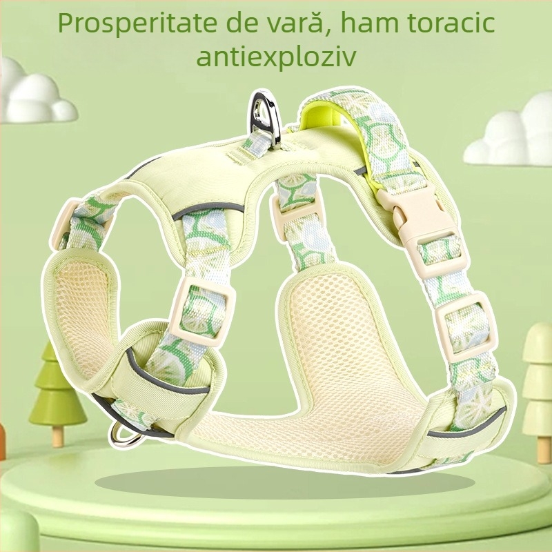 Lesă de vară pentru câini, respirabilă, curea pentru animale de companie, pentru câini mari, medii și mici, Corgi, ursuleț, lanț exterior