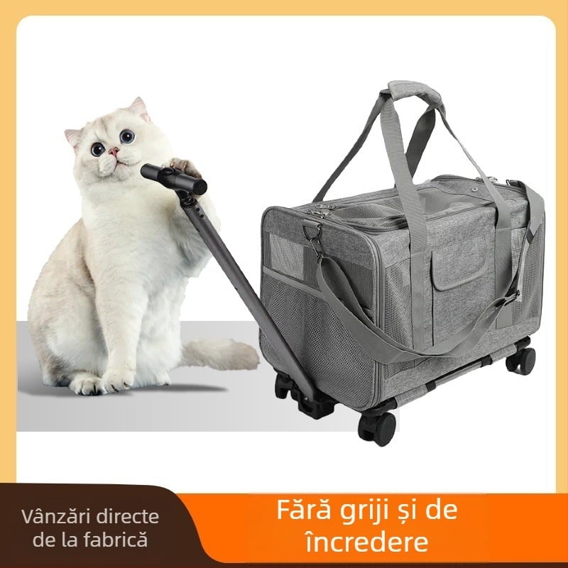 Geantă de transport pentru pisici, capacitate mare, transportor transparent pentru animale de companie pentru câini, potrivit pentru toate anotimpurile, rezistent la mușcături, geantă tote durabilă pentru pisici