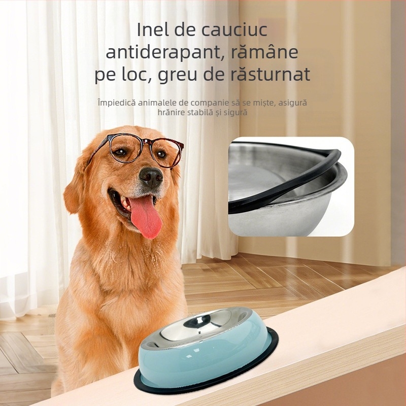 Bol nou pentru pisici de la Amazon, bol din oțel inoxidabil pentru câini, rezistent la căderi, bol rezistent la uzură, nu se răstoarnă ușor, bol pentru animale de companie, articole pentru animale de companie
