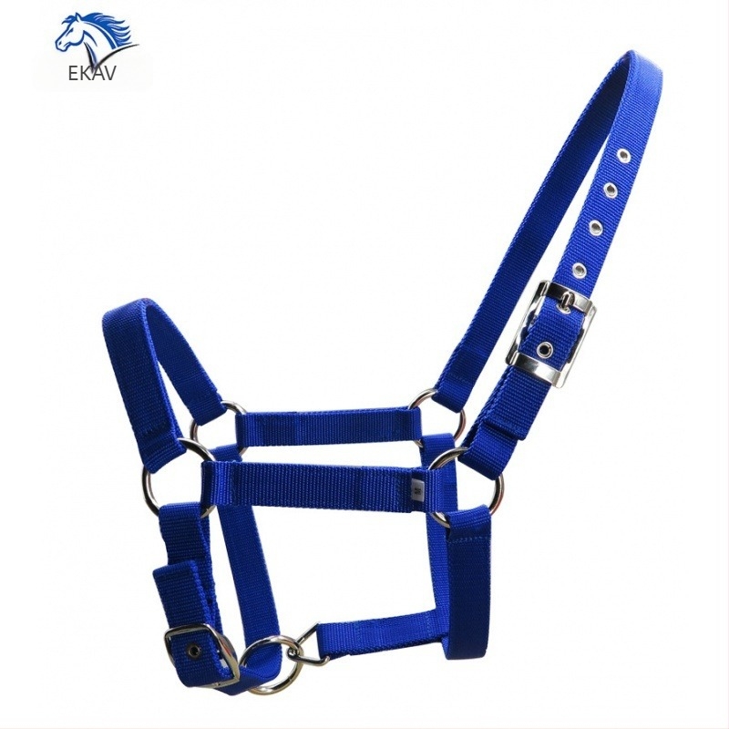 Cataramă de curea din metal, cu cap de felinar, argintie, cu chingă PP îngroșată, 25 mm, lățime, Lt2001