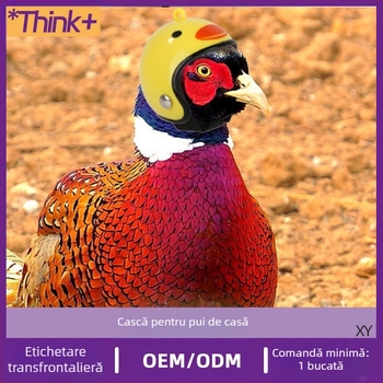 Cască de protecție pentru păsări, pentru animale de companie, pentru pui, porumbel voiajer, pentru papagal, amuzant, cu glugă de protecție