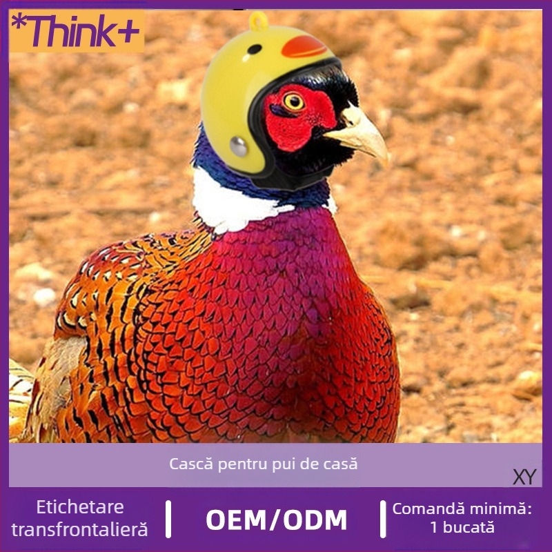 Cască de protecție pentru păsări, pentru animale de companie, pentru pui, porumbel voiajer, pentru papagal, amuzant, cu glugă de protecție