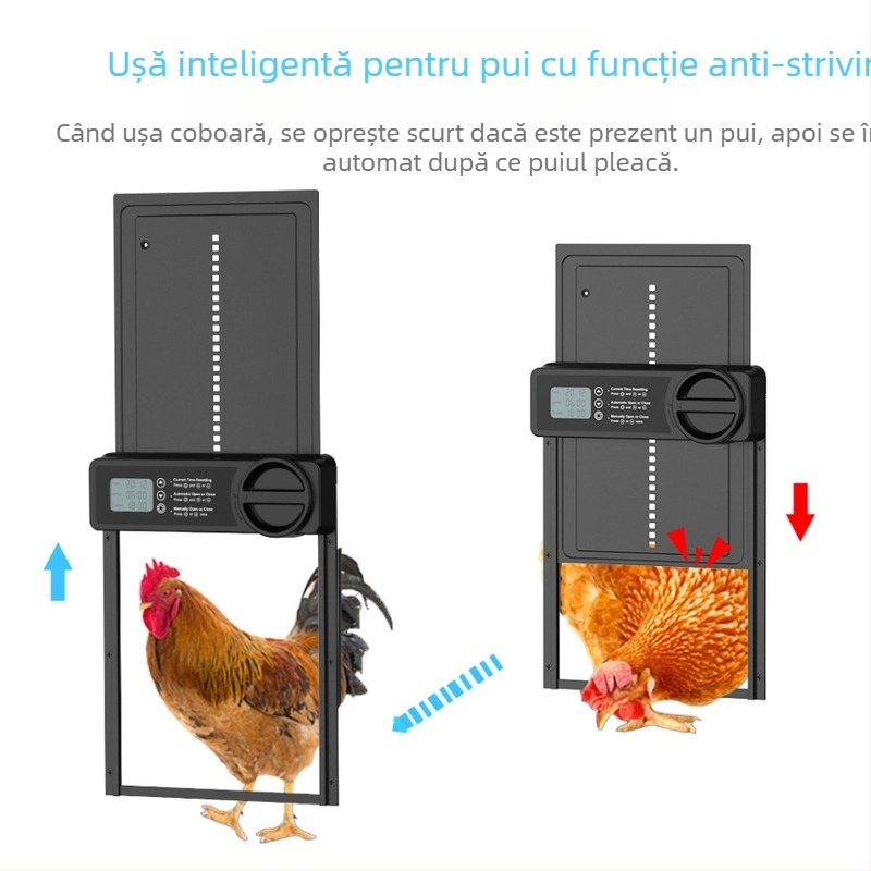 Ușă pentru case de găini, temporizare electrică, ușă inteligentă pentru animale de companie, ușă inteligentă pentru pui, anti-ciupire, Amazon transfrontalieră, vânzare fierbinte, articole creative pentru animale de companie