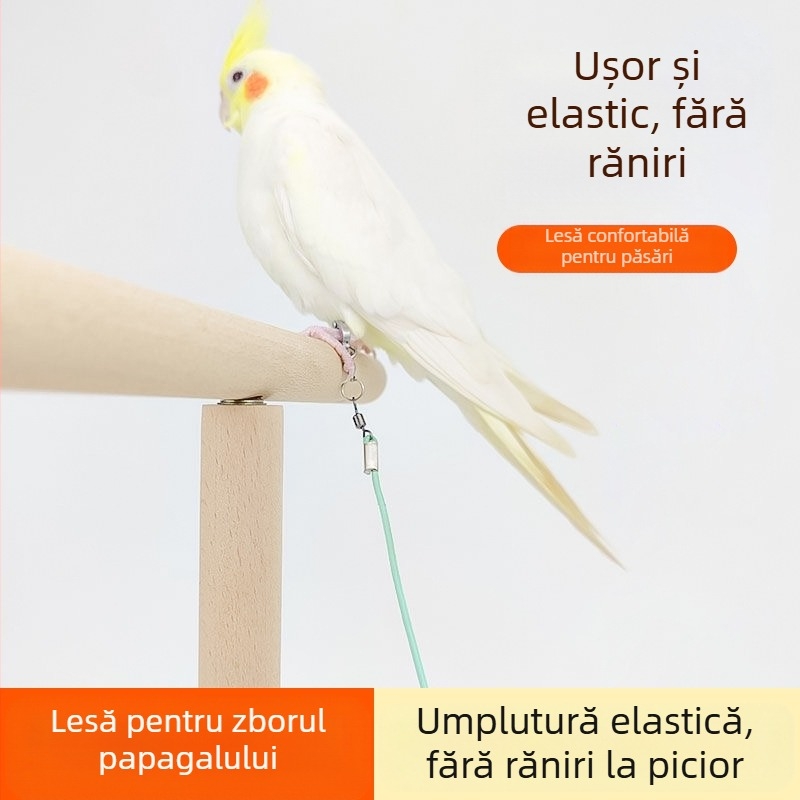 Papagal zbor frânghie elastică fără picior ultra ușoară antrenament Xuanfeng piele de tigru bujor picior inel picior lanț pasăre mers pe jos frânghie