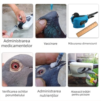 Echipament pentru porumbei Jinyu King, Suport pentru porumbei, Injectare pentru hrănire cu medicamente, Cadru de fixare a ochilor de porumbel pentru vizualizarea vaccinurilor, Sistem de legare a porumbeilor