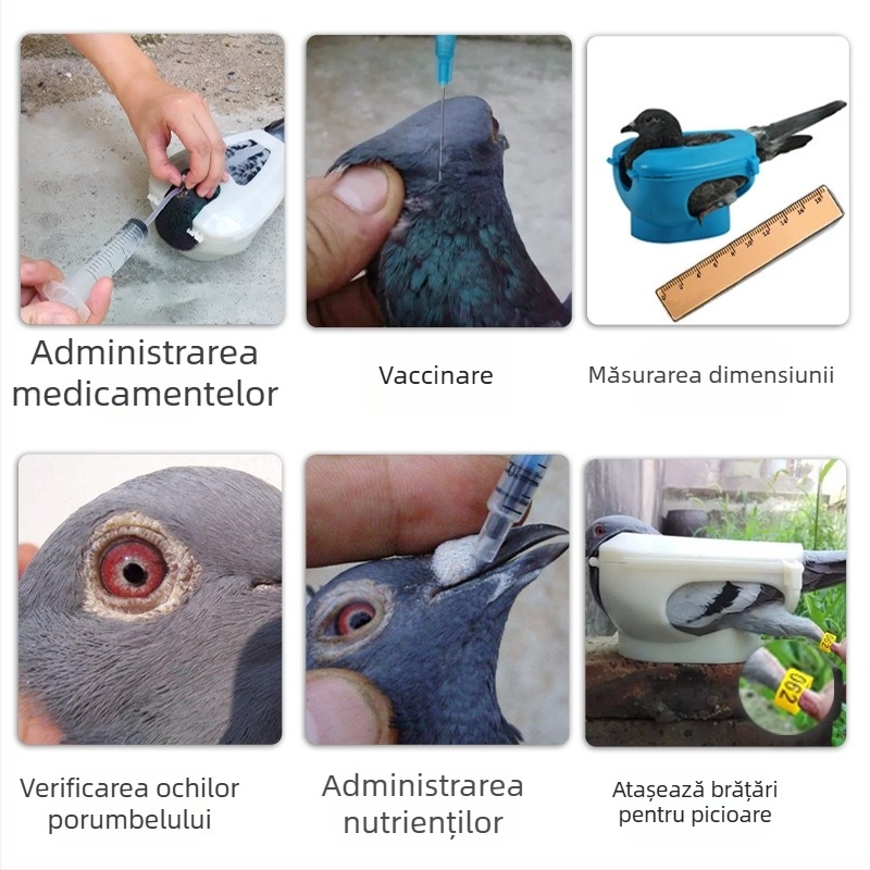 Echipament pentru porumbei Jinyu King, Suport pentru porumbei, Injectare pentru hrănire cu medicamente, Cadru de fixare a ochilor de porumbel pentru vizualizarea vaccinurilor, Sistem de legare a porumbeilor