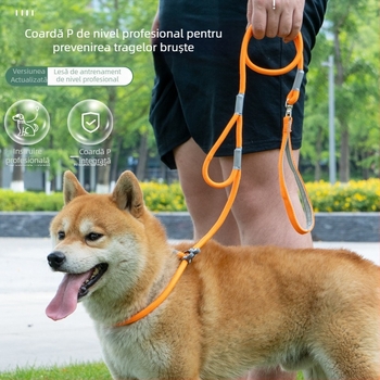 Vânzări directe din fabrică de lesă universală pentru câini cu lanț P, anti-explozie, anti-rupere, instrument de plimbare a câinilor, articole pentru animale de companie en-gros, portabilă