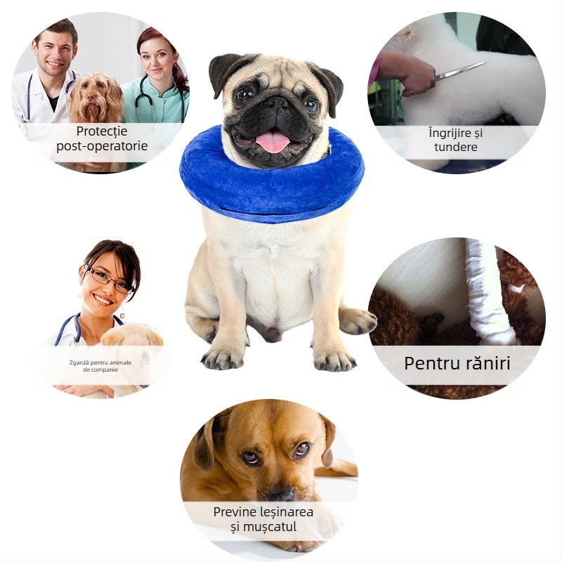Zgardă Elizabeth, zgardă pentru câini, zgardă gonflabilă din PVC pentru animale de companie, zgardă anti-mușcături, anti-zgârieturi, anti-lins, frumusețe 6