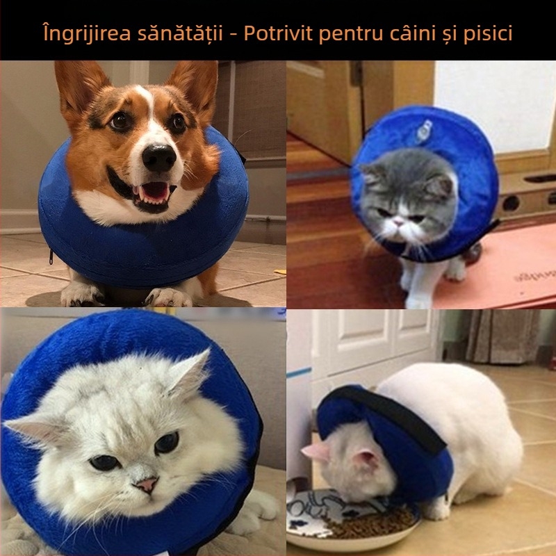 Zgardă Elizabeth, zgardă pentru câini, zgardă gonflabilă din PVC pentru animale de companie, zgardă anti-mușcături, anti-zgârieturi, anti-lins, frumusețe 6