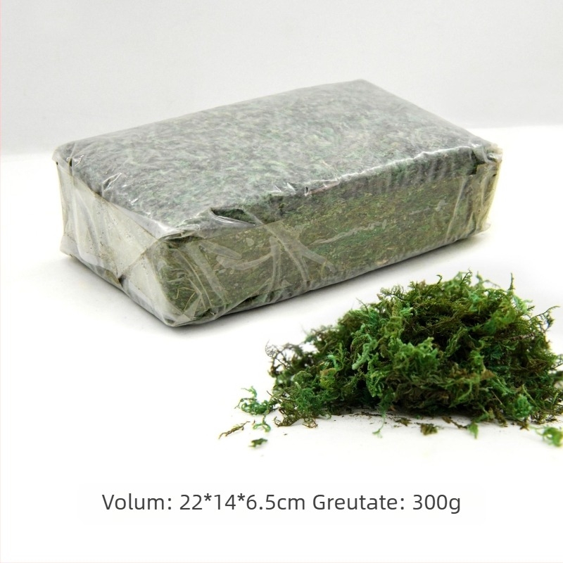 Mușchi nemuritor, mușchi în cutie, plantă, perete, amenajare peisagistică, mușchi, vitrină, decorațiuni interioare, micro-peisaj, floare eternă, mușchi