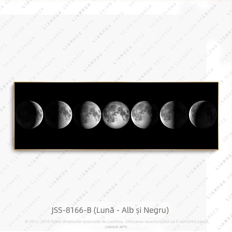 Pictură murală din fabrică SOURCE pictură decorativă pentru living pictură nordică suspendată alb-negru pictură din porțelan cu cristal de lună pictură pe noptieră în cameră de hotel