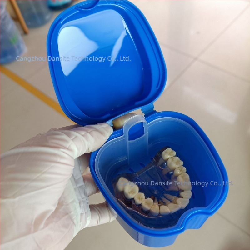 Cutie pentru plasarea protezelor Cutie completă pentru proteze Cutie completă pentru proteze Cutie pentru proteze Cutie pentru proteze cu plasă Cutie pentru proteze Apple Denture Box 53