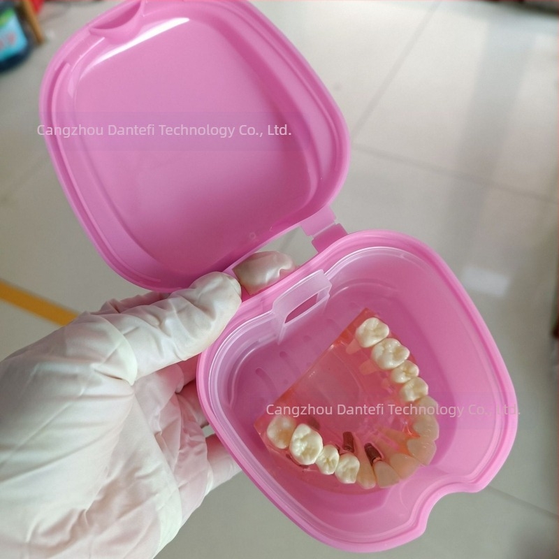 Cutie pentru plasarea protezelor Cutie completă pentru proteze Cutie completă pentru proteze Cutie pentru proteze Cutie pentru proteze cu plasă Cutie pentru proteze Apple Denture Box 53