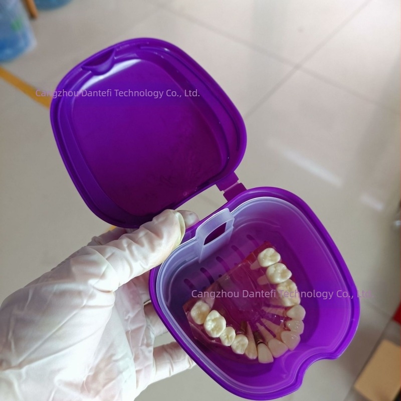 Cutie pentru plasarea protezelor Cutie completă pentru proteze Cutie completă pentru proteze Cutie pentru proteze Cutie pentru proteze cu plasă Cutie pentru proteze Apple Denture Box 53