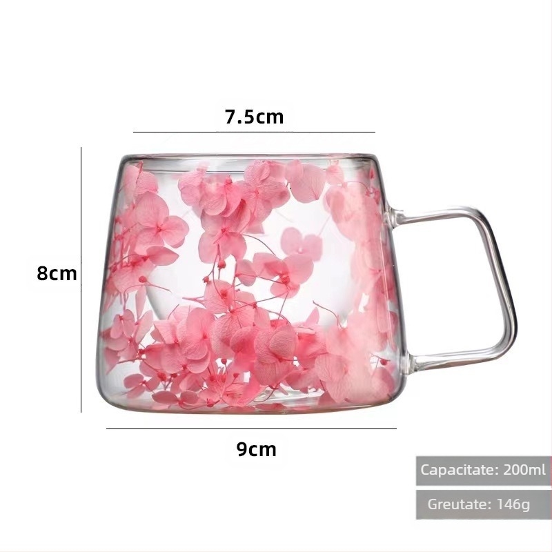 Sticlă dublă cu flori reale, cu mâner, ceașcă de cafea, sticlă borosilicată, ceașcă simplă, sticlă cu flori uscate încorporată