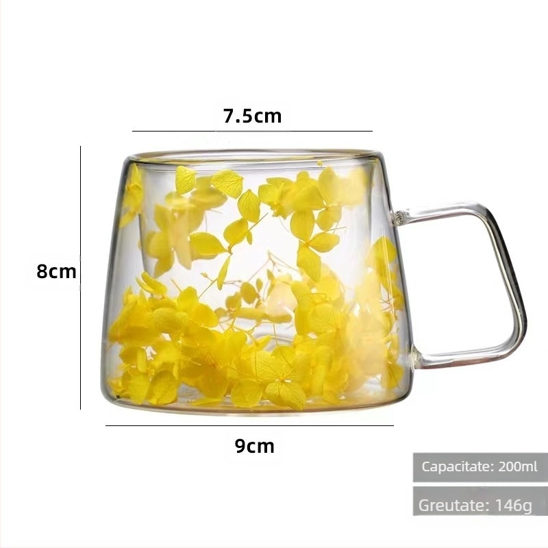 Sticlă dublă cu flori reale, cu mâner, ceașcă de cafea, sticlă borosilicată, ceașcă simplă, sticlă cu flori uscate încorporată