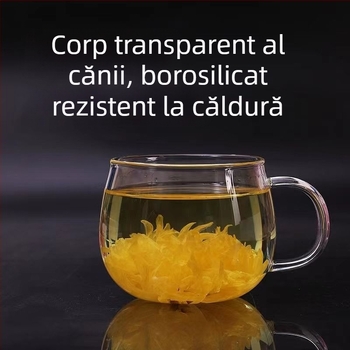 Ceașcă de ceai din sticlă cu capac, rezistentă la căldură, separarea apei de ceai, uz casnic și birou, ceașcă de ceai cu filtru transparent pentru bărbați și femei