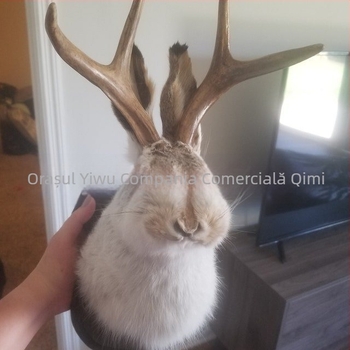 Iepure exploziv din coarne de cerb, taxidermie tradițională pe plăci de lemn negru, decorațiuni cadou pentru casă nouă