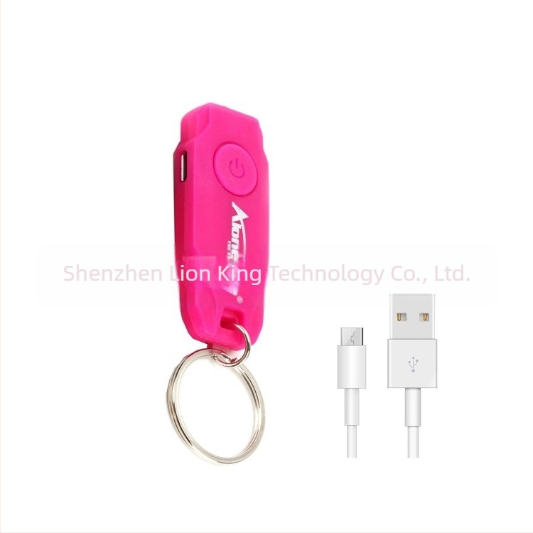 Y06 Breloc luminos reîncărcabil pentru cadou, breloc luminos, mini breloc LED, lampă pentru animale de companie, Y06