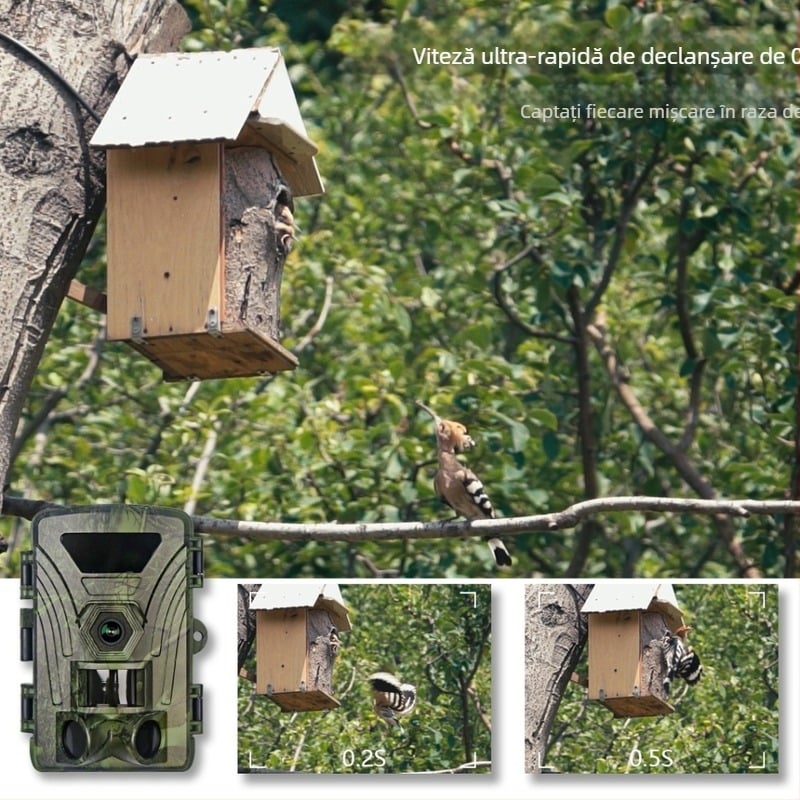 Cameră de acțiune cu infraroșu 8K Wifi Pr802W Monitorizare în aer liber Monitorizare animale Monitorizare zi și noapte Foto și video