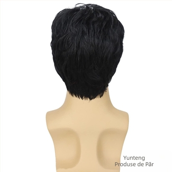 Perucă bărbătească transfrontalieră europeană și americană cu breton oblic, scurtă, din fibră chimică, din mătase la temperaturi ridicate, perucă pentru bărbați