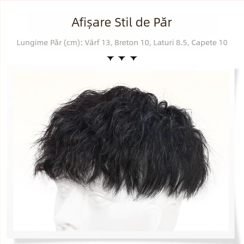 Perucă bărbătească cu păr natural, cu sclipici, stil Hong Kong, Leslie Roll Atmosphere, reediție pentru bărbați, în stoc