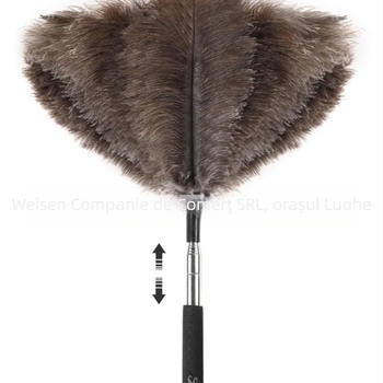 Retractabil lung struț pene Duster uz casnic din oțel inoxidabil cu mâner lung tavan praf măturat Duster Factory Outlet