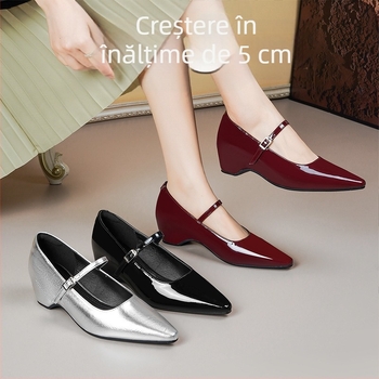 Pantofi Mary Jane pentru femei, cu înălțime interioară, 202, primăvara și vara, stil francez elegant, vârf pătrat, toc gros, navetiști, pantofi cu un singur strat, casual profesionali