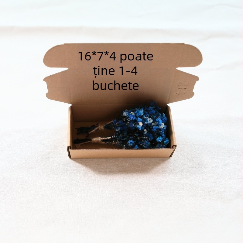 Buchet mic Gimsophila în cutie cadou cu flori veșnice, mini flori uscate, pentru nuntă, decorațiuni interioare