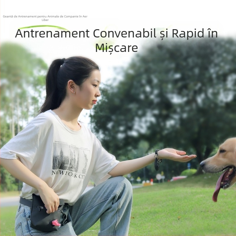 Geantă de dresaj pentru câini, geantă portabilă de dresaj pentru câini de plimbare, întindere diagonală a taliei la umăr, gustări pentru animale de companie, deschidere magnetică, geantă de depozitare pentru caca