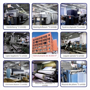 Registru de chitanțe pentru depozite transfrontaliere în limba engleză, imprimare de intrare și ieșire, documente personalizate unu-la-doi și trei-la-unu, producători de export