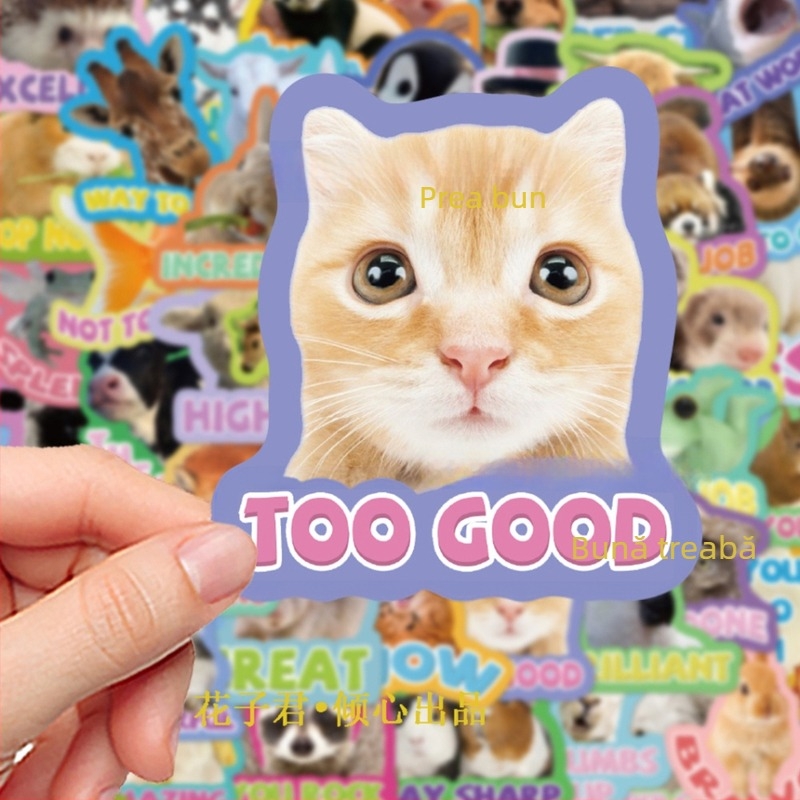 50 de stickere recompensă pentru animale, drăguțe și distractive, cu expresii în engleză pentru animale mici, caiet de papetărie DIY