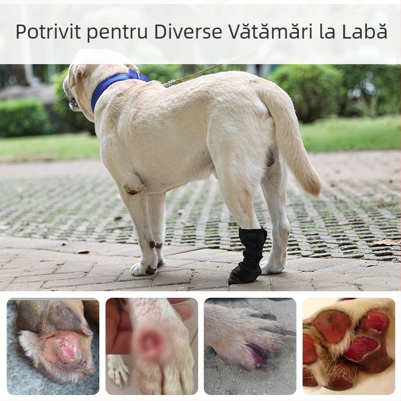 Gheare de câine recuperare postoperatorie pantofi acoperire animale de companie leziuni pantofi confortabili respirabili vindecare accelerată câine pantofi acoperire