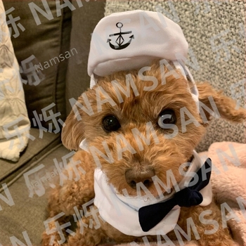 Nouă îmbrăcăminte pentru animale de companie, îmbrăcăminte pentru câini și pisici, pălărie, costum de marinar, costum bleumarin, costum de mare, pelerină, producător