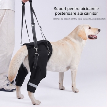 Centură auxiliară pentru picioare posterioare de câini transfrontalieri pentru câini vârstnici, Reabilitare câini cu dizabilități, Coardă de tracțiune pentru ridicarea picioarelor posterioare, en-gros