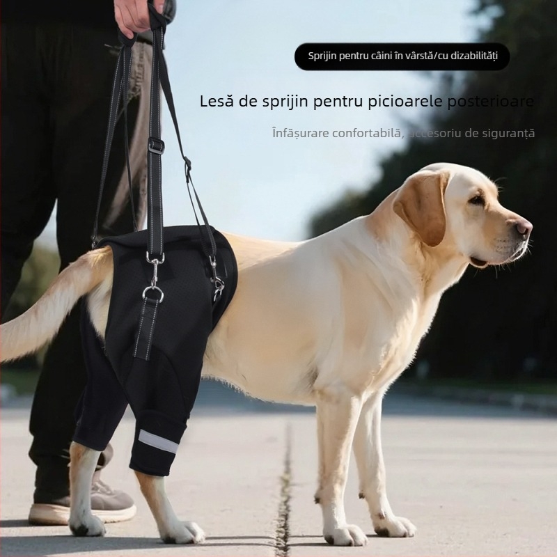 Centură auxiliară pentru picioare posterioare de câini transfrontalieri pentru câini vârstnici, Reabilitare câini cu dizabilități, Coardă de tracțiune pentru ridicarea picioarelor posterioare, en-gros
