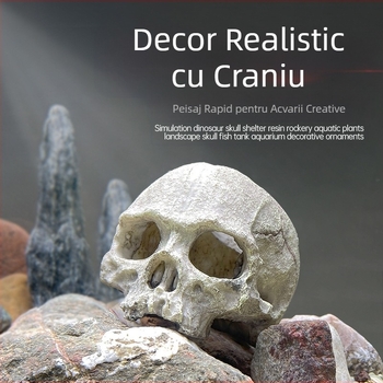 Acvariu ornamente de amenajare a teritoriului scorpion palat paznic păianjen șopârlă șarpe piton craniu oase reproducere evadare casă