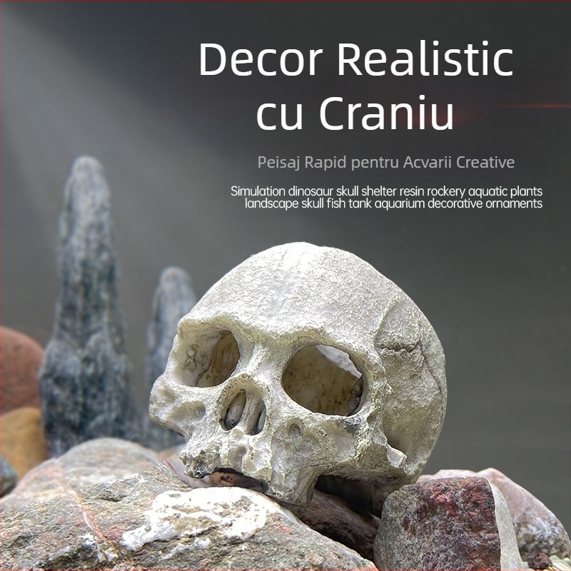 Acvariu ornamente de amenajare a teritoriului scorpion palat paznic păianjen șopârlă șarpe piton craniu oase reproducere evadare casă