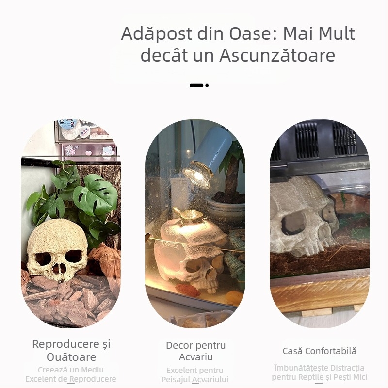 Acvariu ornamente de amenajare a teritoriului scorpion palat paznic păianjen șopârlă șarpe piton craniu oase reproducere evadare casă