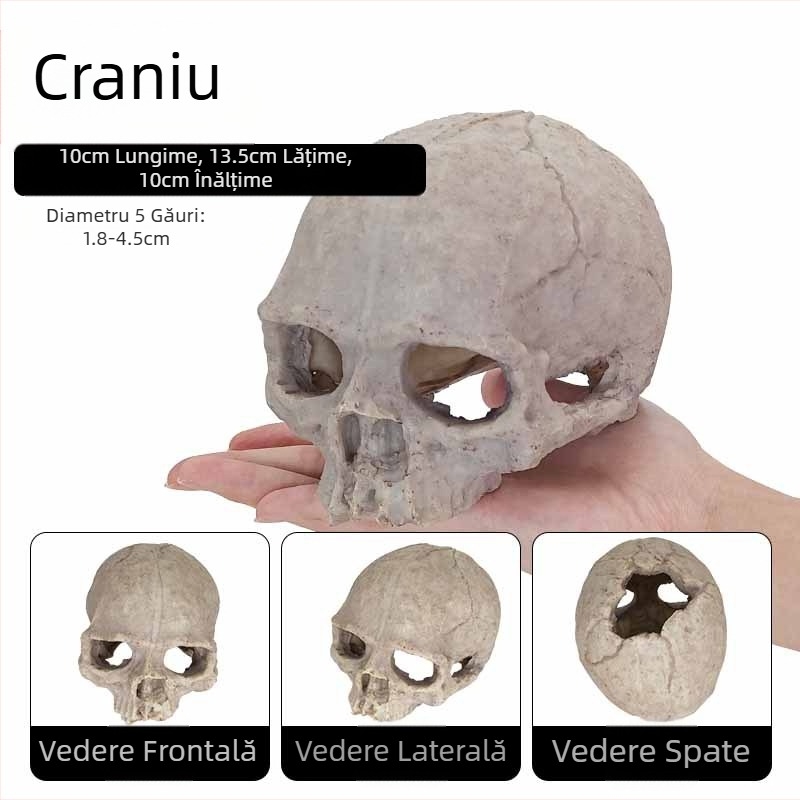 Acvariu ornamente de amenajare a teritoriului scorpion palat paznic păianjen șopârlă șarpe piton craniu oase reproducere evadare casă