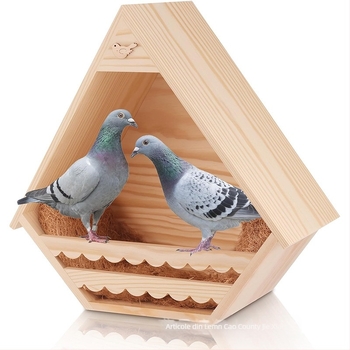 Cuib de pasăre suspendat din lemn, porumbar pentru habitatul exterior pentru păsări, colibri pastoral, cuib de pasăre solid de perete