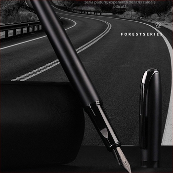 Set cadou cu stilou cu peniță pentru studenți, uz de birou, peniță fină, stilou cu cerneală pentru caligrafie pentru adulți, suport pentru stilou gravat