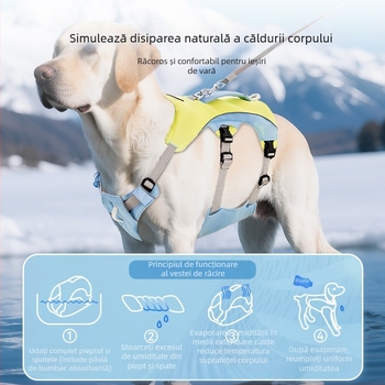 Lesă pentru câini transfrontalieră, pentru animale de companie, tip ham pentru câini mici, medii și mari, ham rezistent la explozii, lesă pentru plimbări cu câini