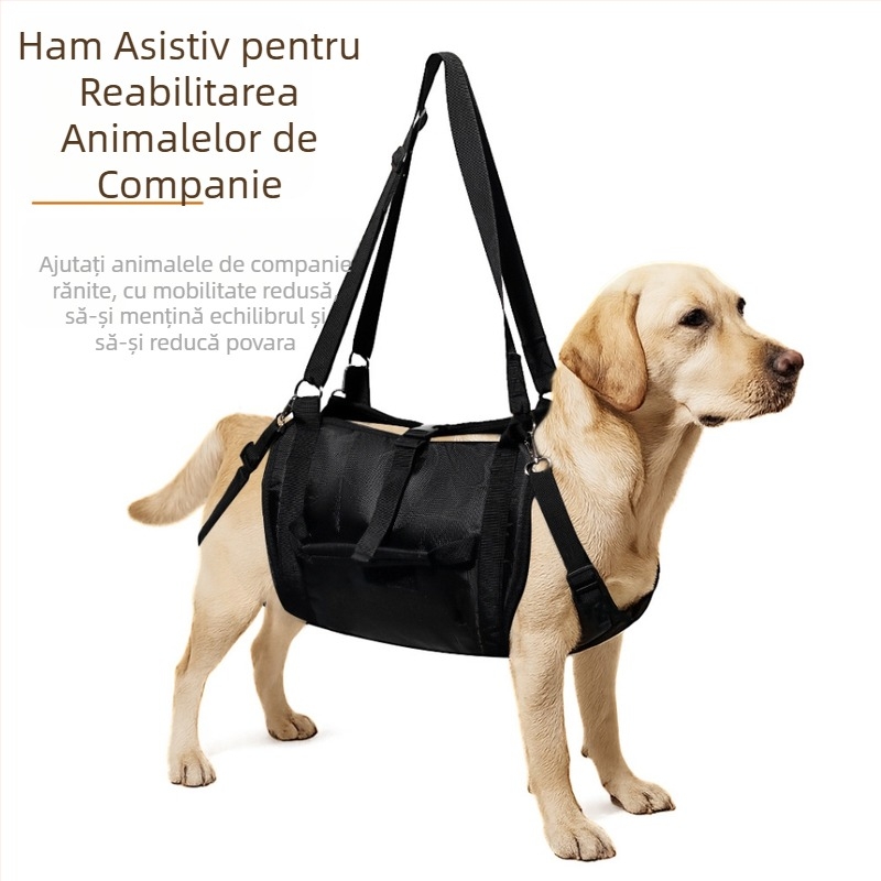 Ajutor transfrontalier Amazon pentru plimbări cu câini, cu rucsac pentru câini, centură de susținere pentru picioare, centură de reabilitare pentru câini, transportor de ridicare